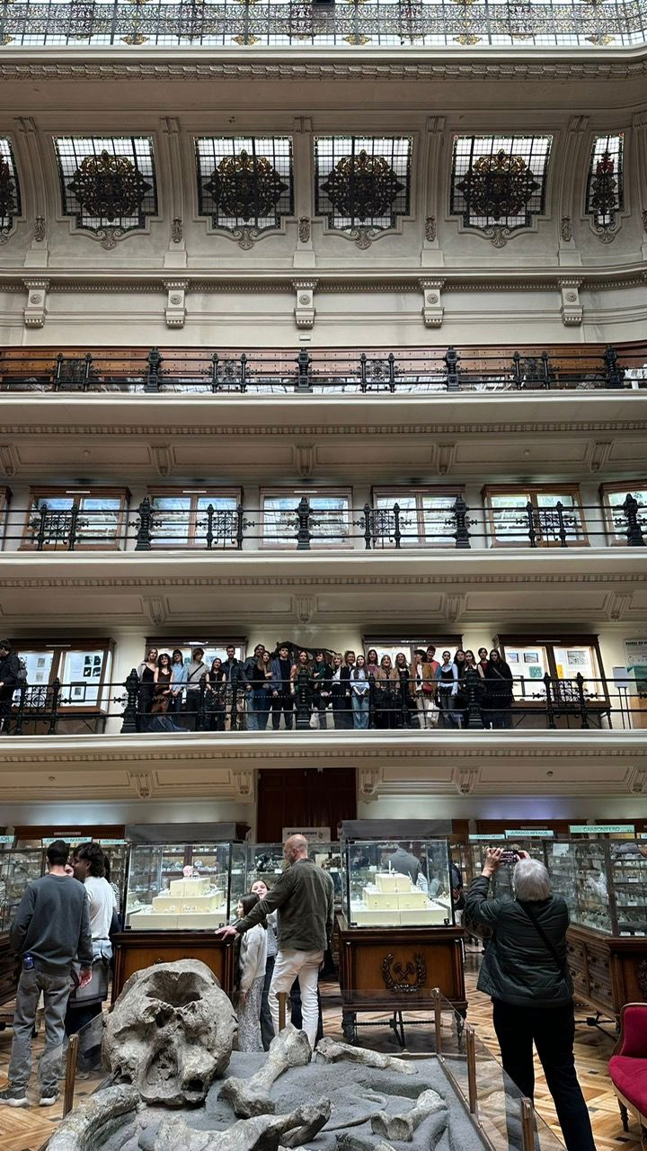 Imagen 13 de la exposición